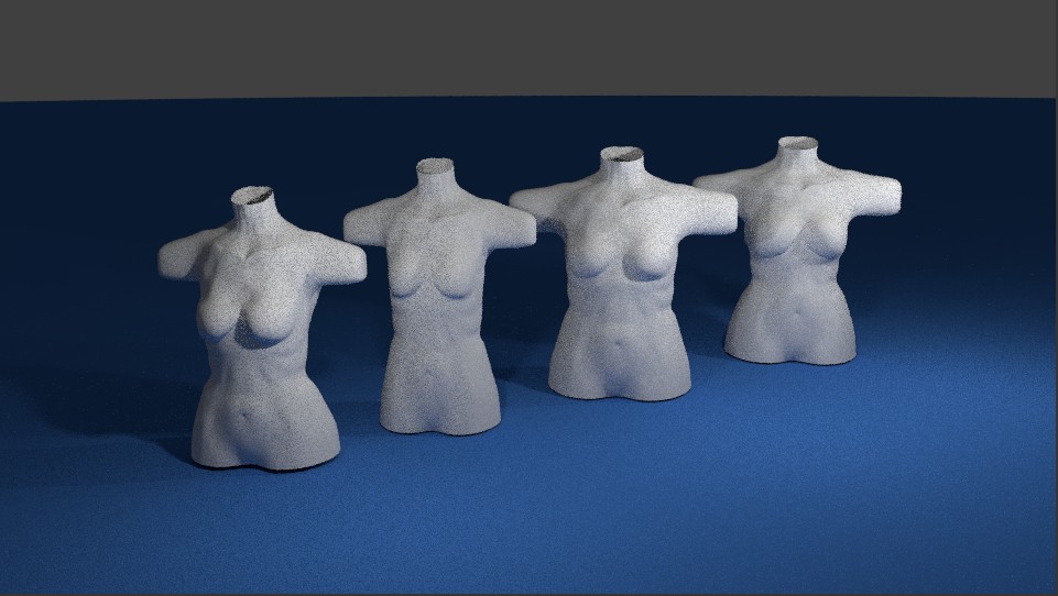 Basic and ready female models preview image 1